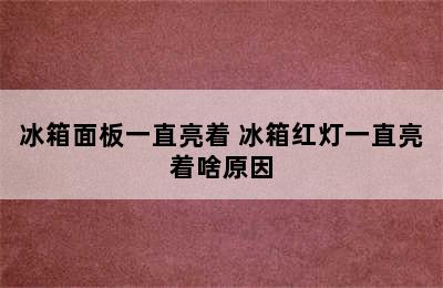 冰箱面板一直亮着 冰箱红灯一直亮着啥原因